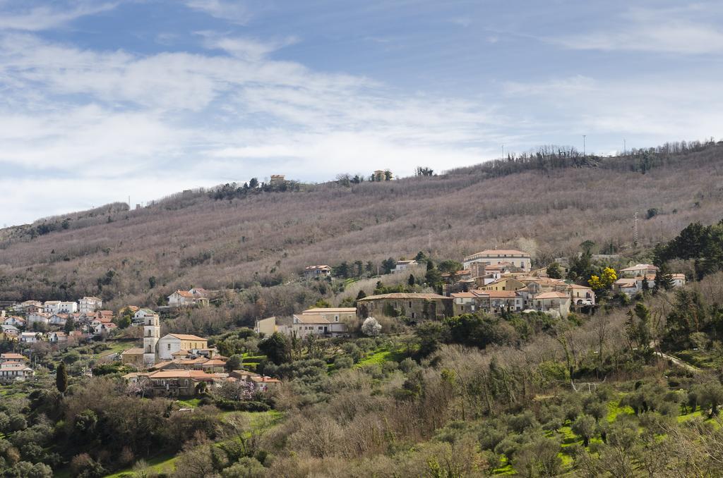Al Casale Dei Nonni Bed and Breakfast Laureana Cilento Exteriör bild